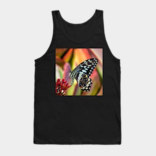 Citrus Swallowtail Butterfly | African Wildlife Tank Top